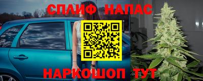 молекула духа Тверь